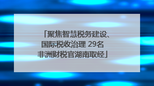 聚焦智慧税务建设、国际税收治理 29名非洲财税官湖南取经