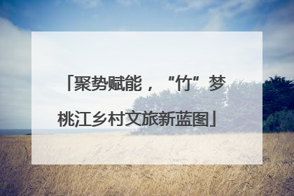 聚势赋能，“竹”梦桃江乡村文旅新蓝图