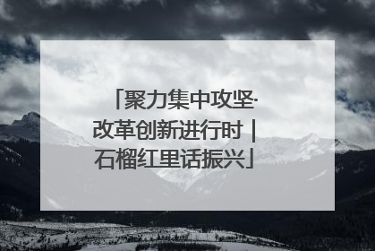 聚力集中攻坚·改革创新进行时｜石榴红里话振兴