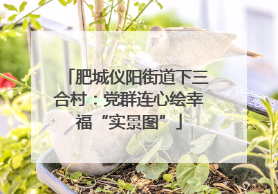 肥城仪阳街道下三合村：党群连心绘幸福“实景图”