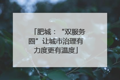 肥城：“双服务圈”让城市治理有力度更有温度