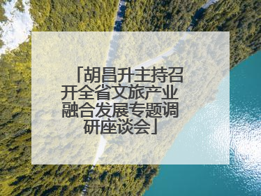 胡昌升主持召开全省文旅产业融合发展专题调研座谈会