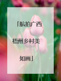 航拍广西梧州乡村美如画
