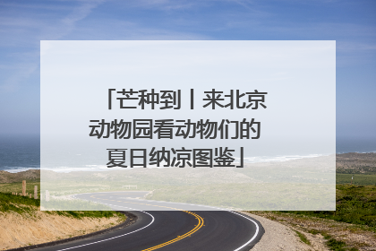 芒种到丨来北京动物园看动物们的夏日纳凉图鉴