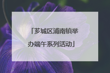 芗城区浦南镇举办端午系列活动