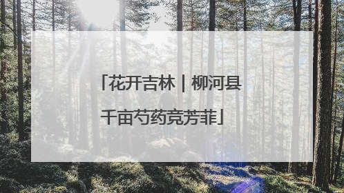 花开吉林｜柳河县千亩芍药竞芳菲
