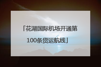 花湖国际机场开通第100条货运航线