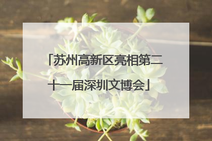 苏州高新区亮相第二十一届深圳文博会