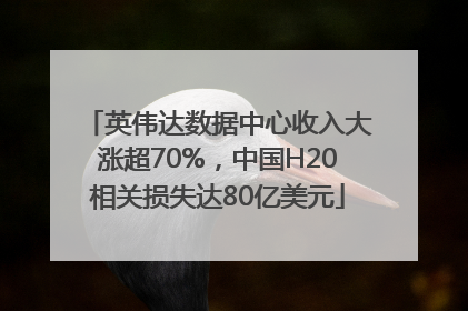 英伟达数据中心收入大涨超70%，中国H20相关损失达80亿美元
