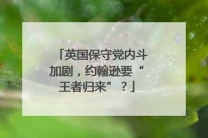 英国保守党内斗加剧，约翰逊要“王者归来”？