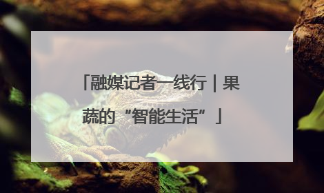融媒记者一线行｜果蔬的“智能生活”