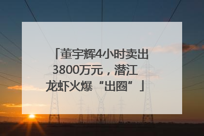 董宇辉4小时卖出3800万元，潜江龙虾火爆“出圈”