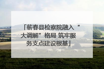 蕲春县检察院融入“大调解”格局 筑牢服务支点建设根基