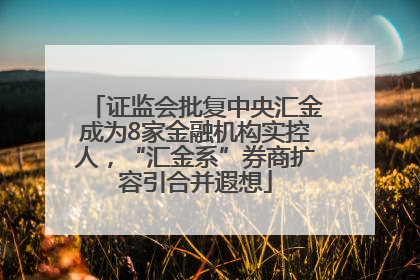 证监会批复中央汇金成为8家金融机构实控人，“汇金系”券商扩容引合并遐想