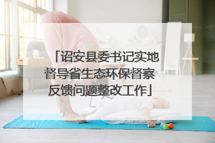 诏安县委书记实地督导省生态环保督察反馈问题整改工作
