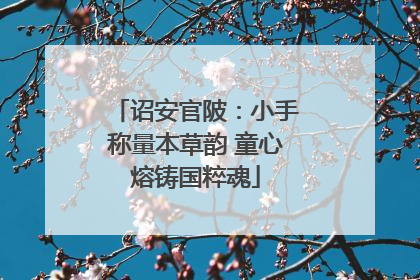 诏安官陂：小手称量本草韵 童心熔铸国粹魂