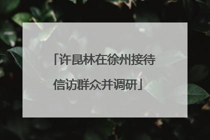 许昆林在徐州接待信访群众并调研