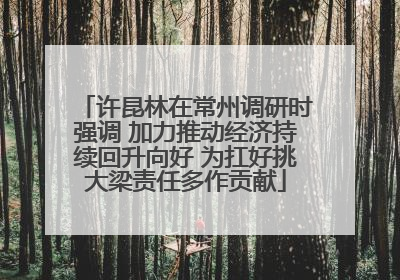 许昆林在常州调研时强调 加力推动经济持续回升向好 为扛好挑大梁责任多作贡献