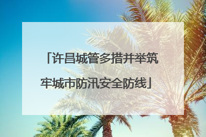 许昌城管多措并举筑牢城市防汛安全防线