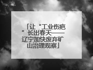 让“工业伤疤”长出春天——辽宁加快废弃矿山治理观察