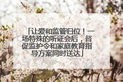 让爱和监管归位！一场特殊的听证会后，督促监护令和家庭教育指导方案同时送达