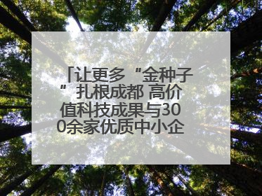 让更多“金种子”扎根成都 高价值科技成果与300余家优质中小企业精准对接
