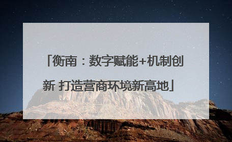 衡南：数字赋能+机制创新 打造营商环境新高地