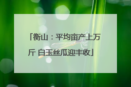衡山：平均亩产上万斤 白玉丝瓜迎丰收