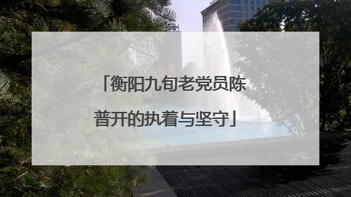 衡阳九旬老党员陈普开的执着与坚守