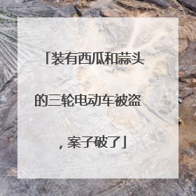 装有西瓜和蒜头的三轮电动车被盗，案子破了