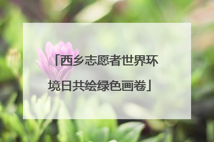 西乡志愿者世界环境日共绘绿色画卷