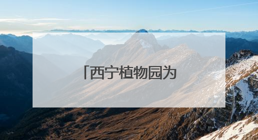 西宁植物园为雪豹“凌小蛰”庆祝“新生”