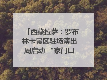 西藏拉萨：罗布林卡景区驻场演出周启动 “家门口”享文化盛宴