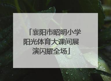 襄阳市昭明小学阳光体育大课间展演闪耀全场