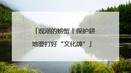 观潮的螃蟹丨保护耕地要打好“文化牌”