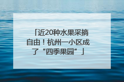 近20种水果采摘自由！杭州一小区成了“四季果园”