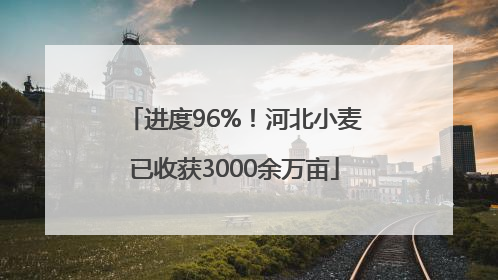 进度96%！河北小麦已收获3000余万亩