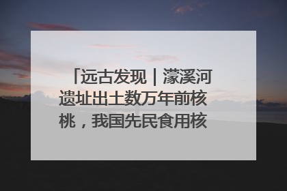 远古发现｜濛溪河遗址出土数万年前核桃，我国先民食用核桃历史大幅提前