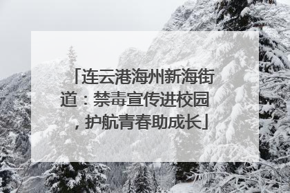 连云港海州新海街道：禁毒宣传进校园，护航青春助成长