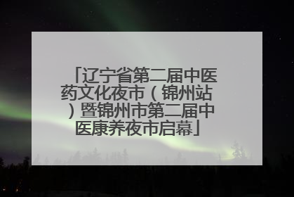 辽宁省第二届中医药文化夜市（锦州站）暨锦州市第二届中医康养夜市启幕