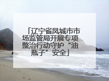 辽宁省凤城市市场监管局开展专项整治行动守护“油瓶子”安全