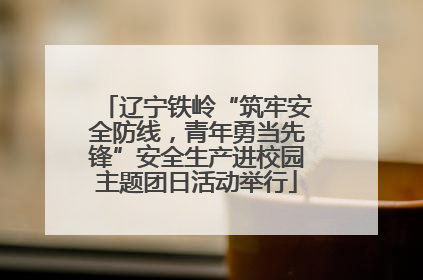 辽宁铁岭“筑牢安全防线，青年勇当先锋”安全生产进校园主题团日活动举行