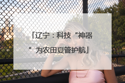 辽宁：科技“神器”为农田夏管护航