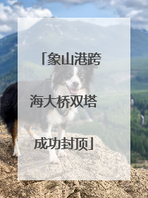 象山港跨海大桥双塔成功封顶