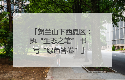 贺兰山下西夏区：执“生态之笔” 书写“绿色答卷”