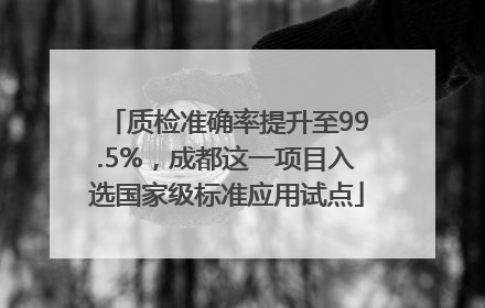 质检准确率提升至99.5%，成都这一项目入选国家级标准应用试点