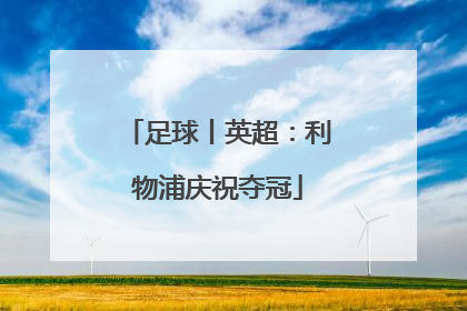 足球丨英超：利物浦庆祝夺冠