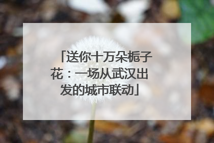 送你十万朵栀子花：一场从武汉出发的城市联动