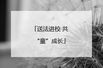 送法进校 共“童”成长