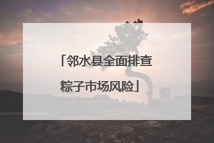 邻水县全面排查粽子市场风险